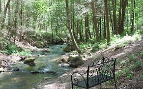 Private Creekside Cabin+Hot Tub,Pool Table, & Pets